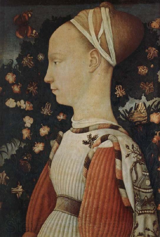 Antonio Pisanello A portrait of a young princess Spain oil painting art